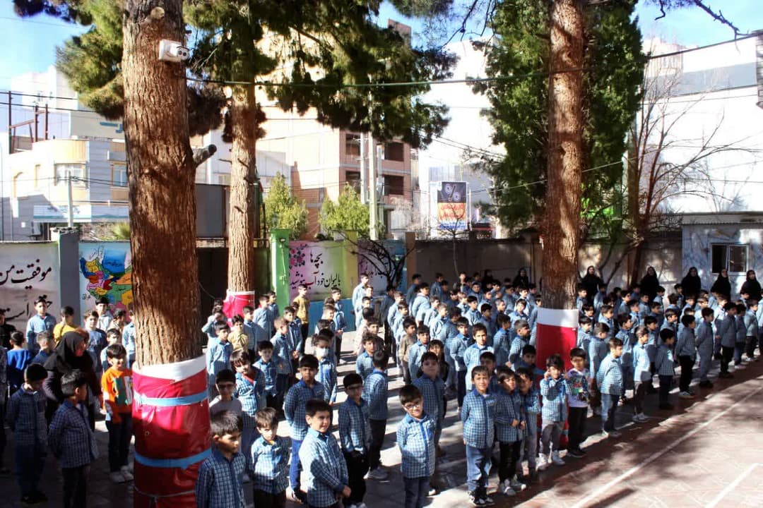 تصویر مقاله